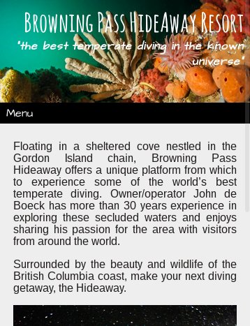 The new mobile web site is responsive