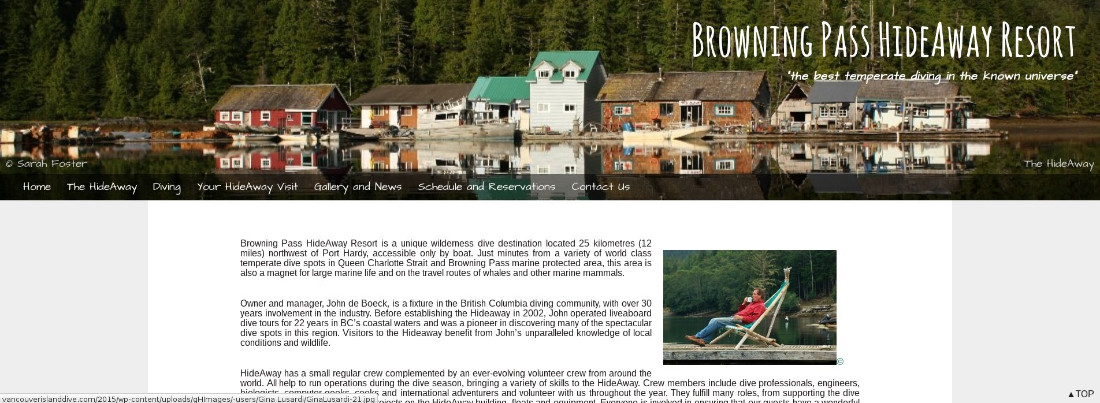 The new web site