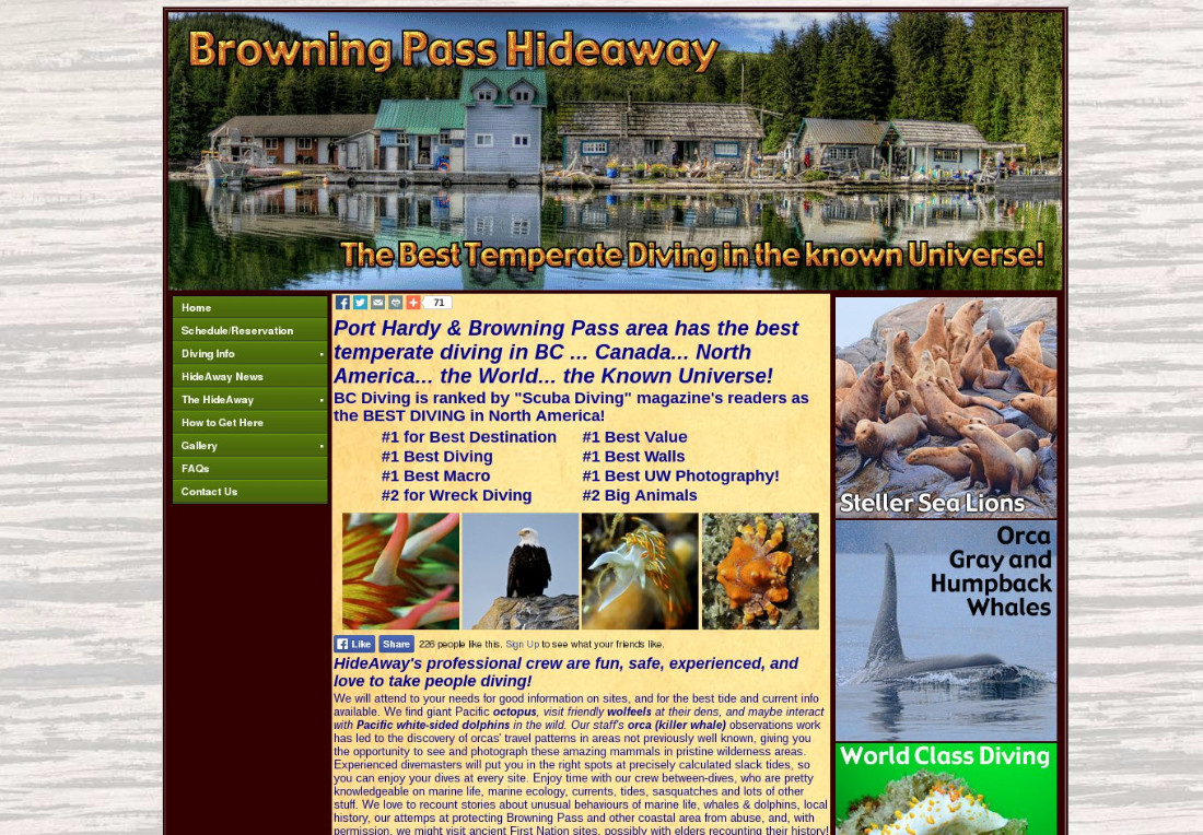 The old web site