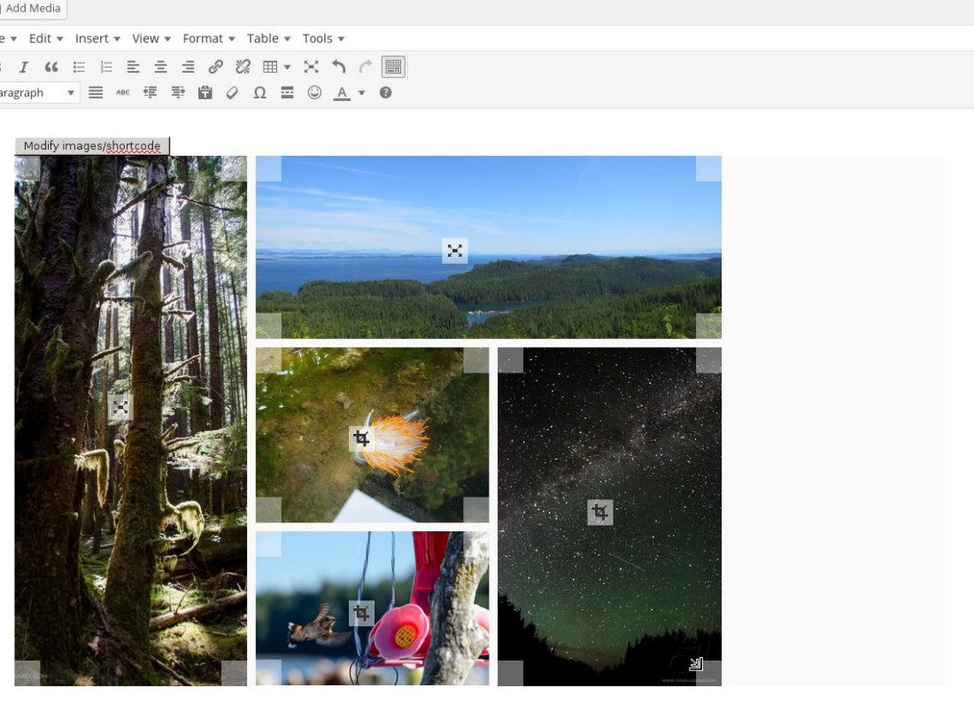 The photo layout allows you to arrange the images as you want by clicking/tapping and dragging