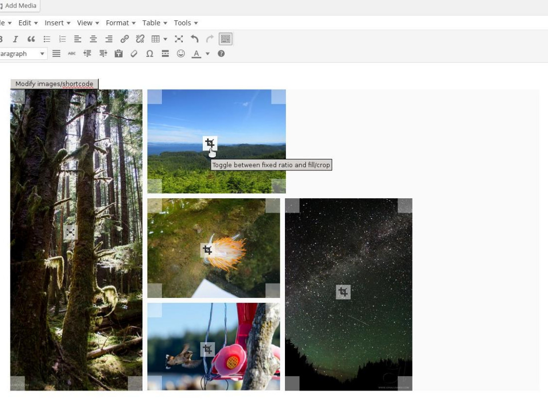 You can toggle between using the image's ratio for sizing or fluid sizing