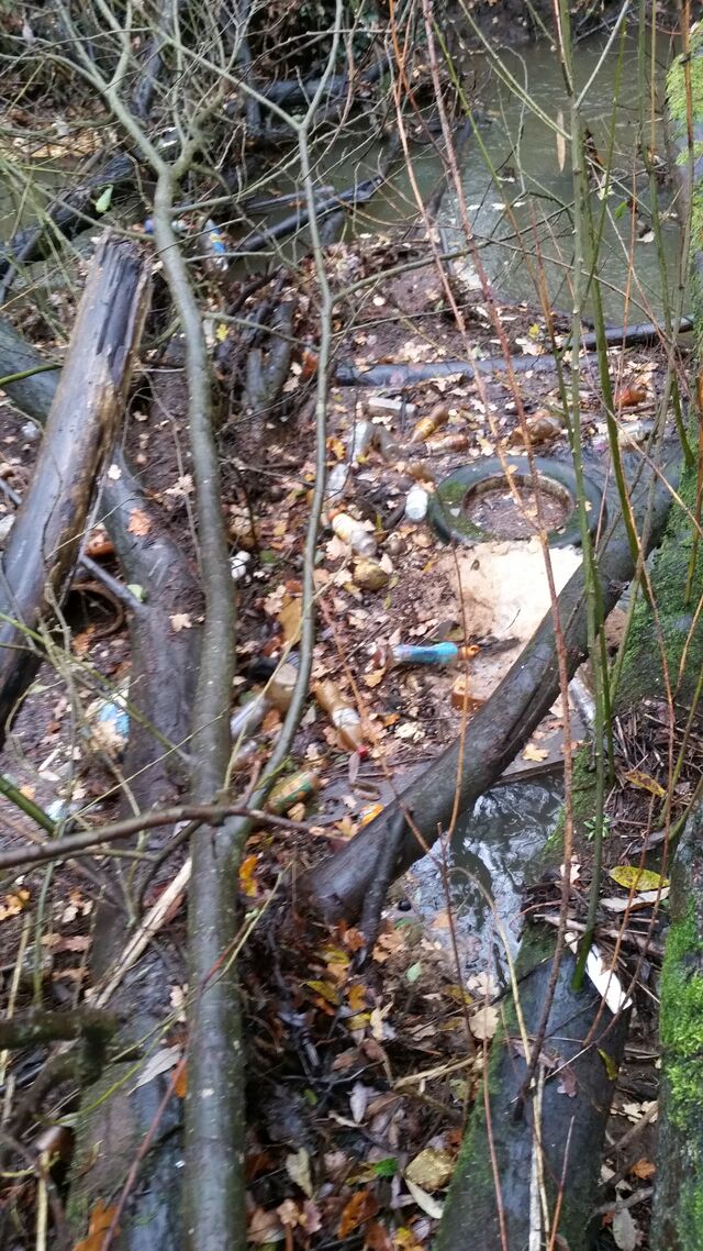 The trash caught on the tree