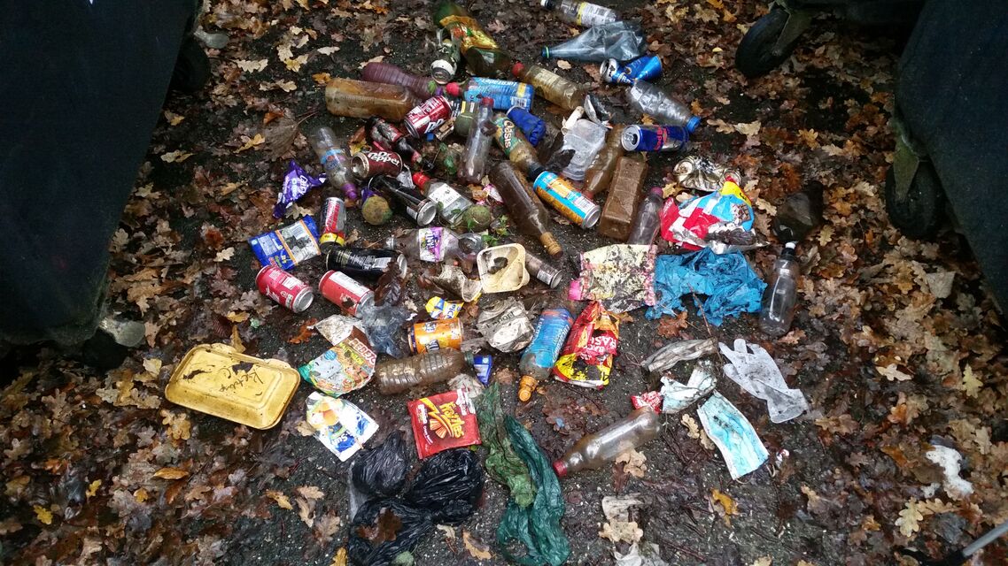 The trash picked